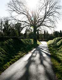 Kay Westhues, Road to Saint Brigid's Well, County Kildare, Ireland