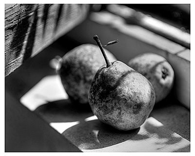 Kathleen English Joann’s Pears, 11” x 14”, photographic c-print 