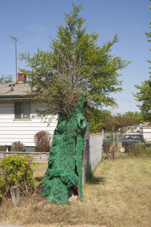 Kay Westhues: Painted Tree, Gary, IN