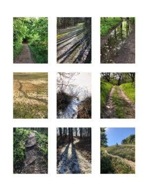 "A Typology of Paths, by Kay Westhues